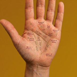 Palm Reading